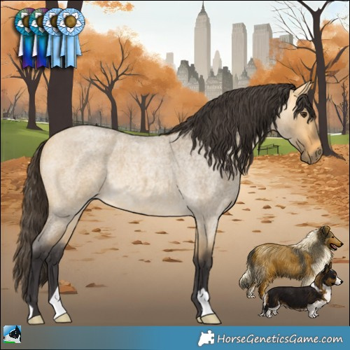 Horse Color:Buckskin Roan Dun 