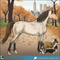 Horse Color:Buckskin Roan Dun 