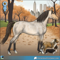 Horse Color:Buckskin Roan Dun 
