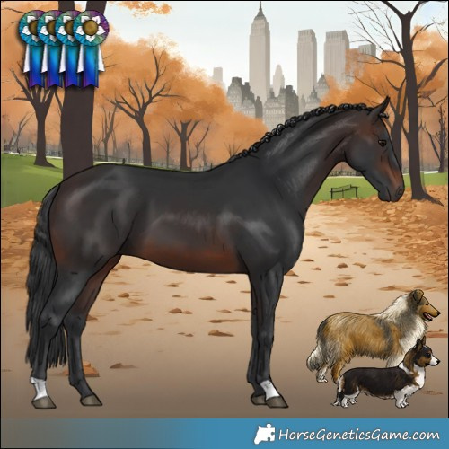 Horse Color:Brown 