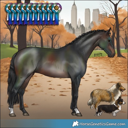 Horse Color:Brown 