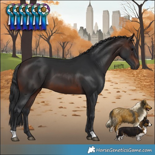 Horse Color:Brown 