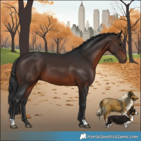 Horse Color:Brown 