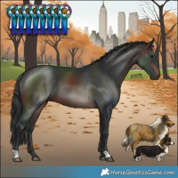 Horse Color:Brown 