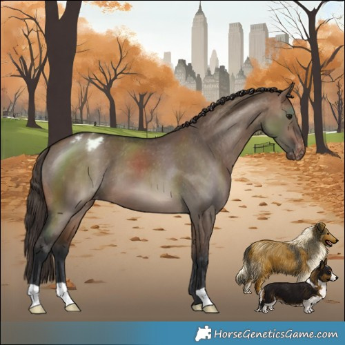 Horse Color:Brown Dun Varnish 