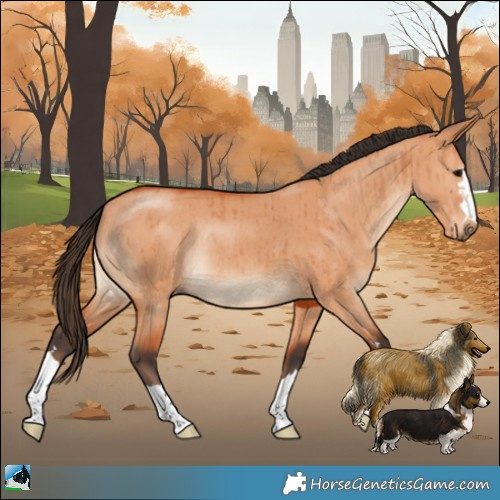 Horse Color:Bay Dun Rabicano Brindle 