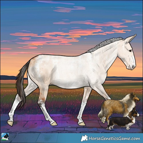 Horse Color:Powder White Bay Dun Brindle 
