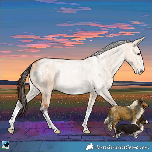 Horse Color:Powder White Bay Dun Brindle