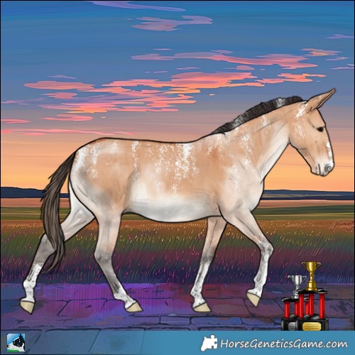 Horse Color:Powder White Bay Dun Brindle