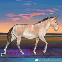 Horse Color:Powder White Bay Dun Brindle