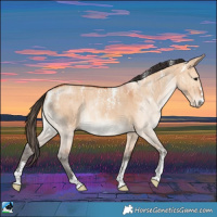 Horse Color:Powder White Bay Dun Brindle