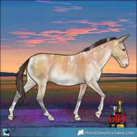 Horse Color:Powder White Bay Dun Brindle 