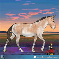 Horse Color:Powder White Bay Dun Brindle 