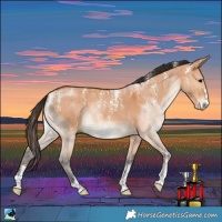 Horse Color:Powder White Bay Dun Brindle 