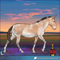 Horse Color:Powder White Bay Dun Brindle