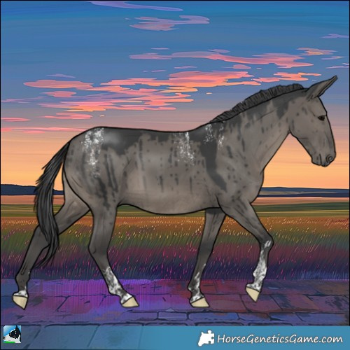 Horse Color:Powder White Grullo Rabicano Brindle 