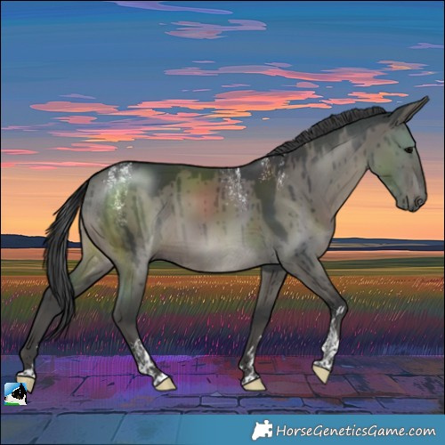 Horse Color:Powder White Grullo Rabicano Brindle 