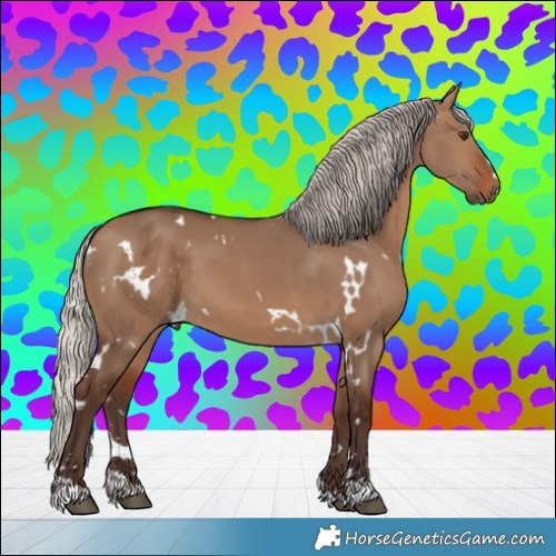 Horse Color:White Spotted Silver Brown Dun 