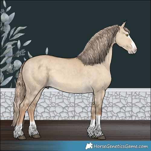 Horse Color:Chocolate Palomino Dun Splash Rabicano 