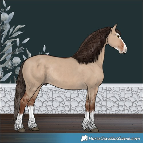 Horse Color:Liver Red Dun Splash Rabicano 