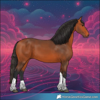 Horse Color:Bay Tobiano 