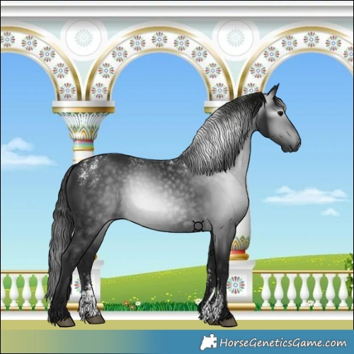 Horse Color:Powder White Gray Black