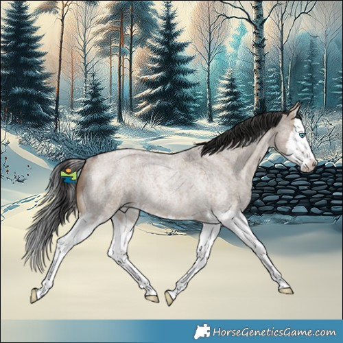 Horse Color:Brown Roan Dun Splash Rabicano 