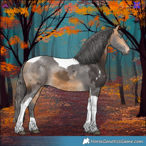 Horse Color:Buckskin Merle Tobiano 