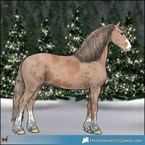 Horse Color:Black Pearl Merle 
