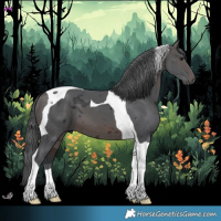 Horse Color:Brown Merle Tobiano 