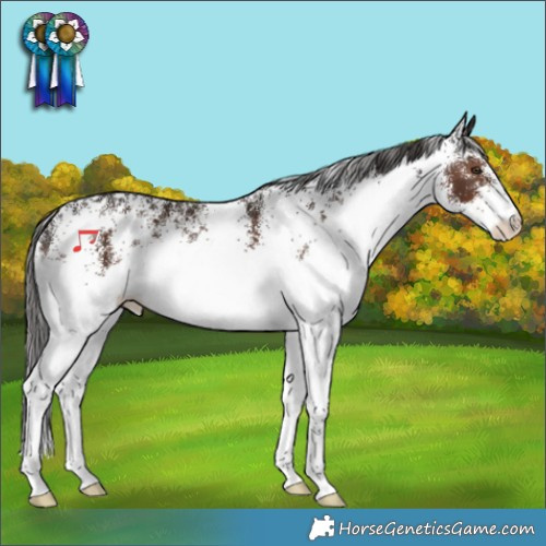 Horse Color:White Spotted Liver Chestnut 