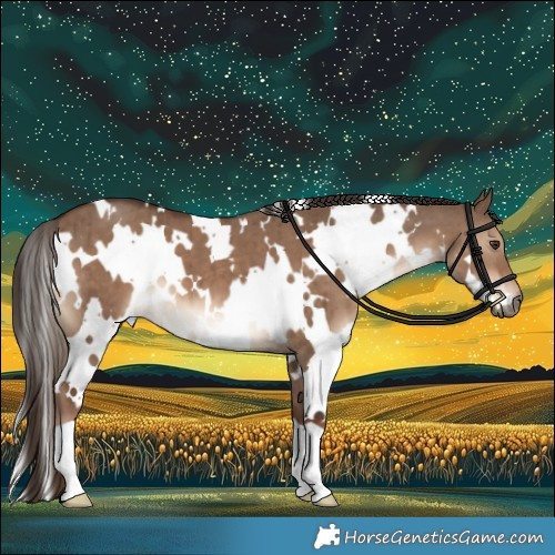 Horse Color:White Spotted Liver Red Dun Brindle
