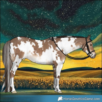 Horse Color:White Spotted Liver Red Dun Brindle 