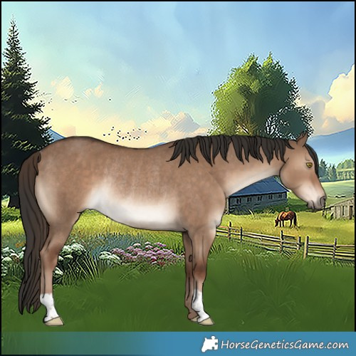 Horse Color:Liver Red Dun Rabicano