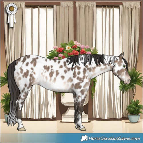 Horse Color:White Spotted Brown Dun Appaloosa Rabicano 