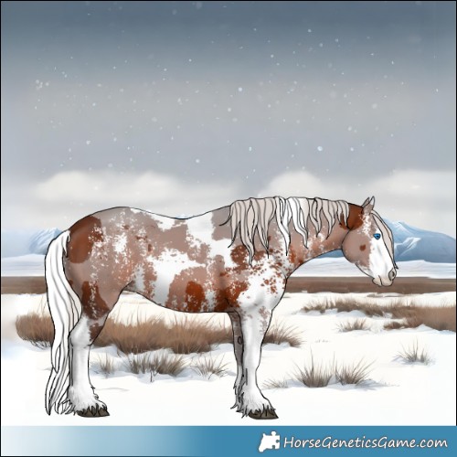 Horse Color:Silver Brown Merle Sabino Rabicano 