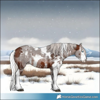 Horse Color:Silver Brown Merle Sabino Rabicano