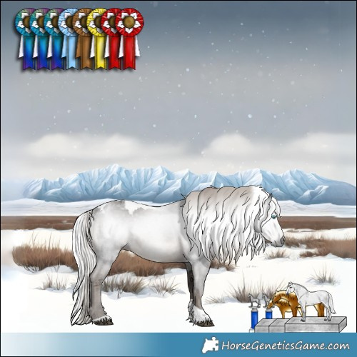 Horse Color:Gray Silver Black Merle Tobiano 