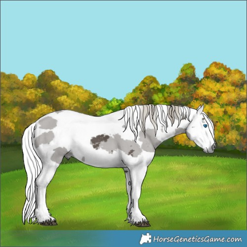 Horse Color:Silver Smoky Black Merle Tobiano 