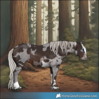 Horse Color:Silver Brown Merle Tobiano 