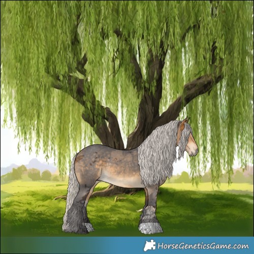 Horse Color:Silver Buckskin Merle Rabicano 