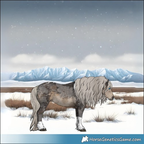 Horse Color:Silver Smoky Black Merle Tobiano 