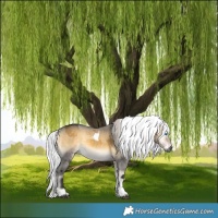 Horse Color:Gray Silver Buckskin Onyx Merle Tobiano