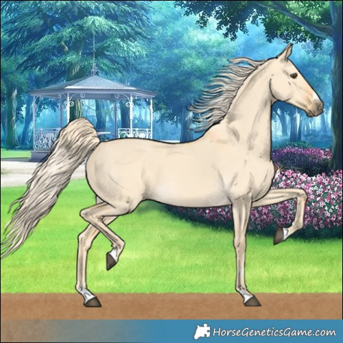 Horse Color:Palomino Dun 
