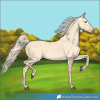 Horse Color:Palomino Dun 