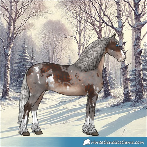 Horse Color:White Spotted Silver Brown Merle Splash