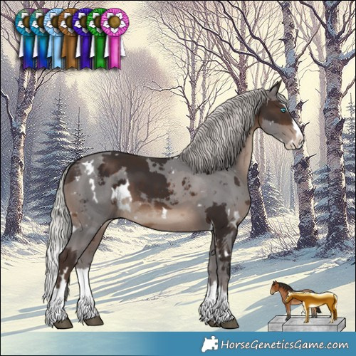 Horse Color:White Spotted Silver Brown Merle Splash 