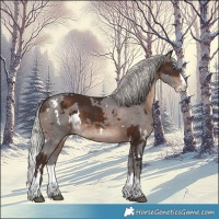 Horse Color:White Spotted Silver Brown Merle Splash 