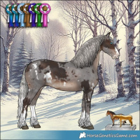Horse Color:White Spotted Silver Brown Merle Splash