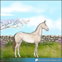 Horse Color:Smoky Grullo Pearl 